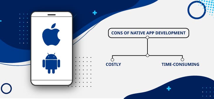 Cons of native app development