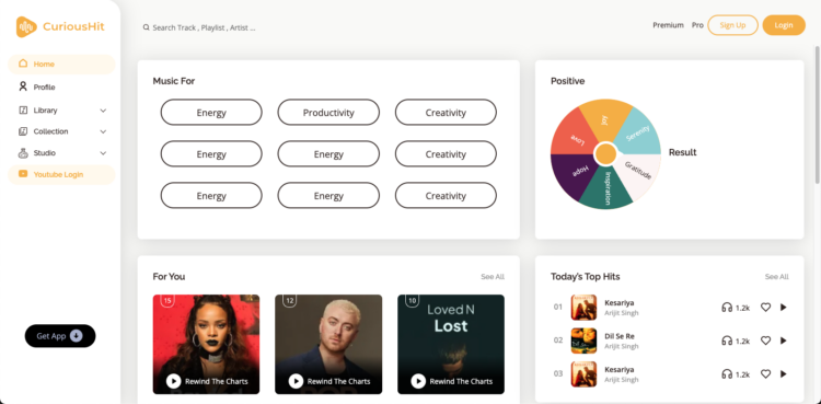 CuriousHit Case study - Nevina Infotech